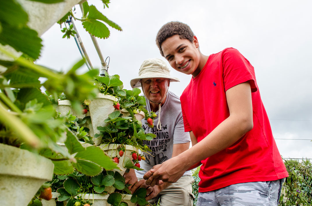 Adult mentor and teenager working together in hydroponic garden.