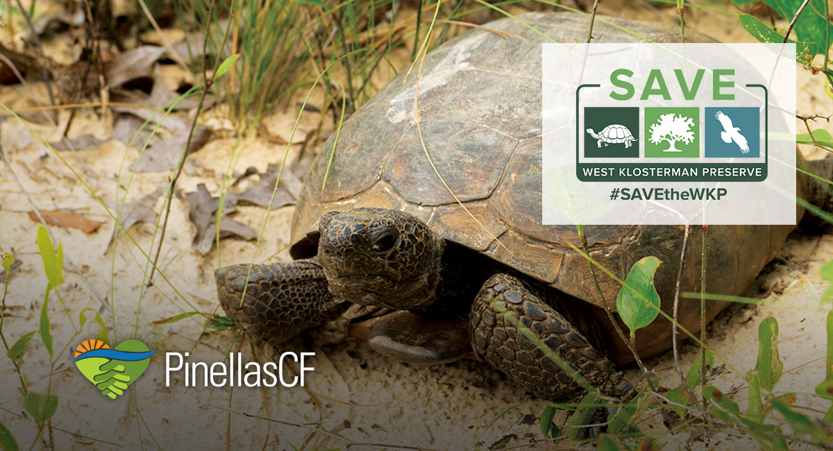 Time is critical to save the West Klosterman Preserve and the native species that inhabit it.